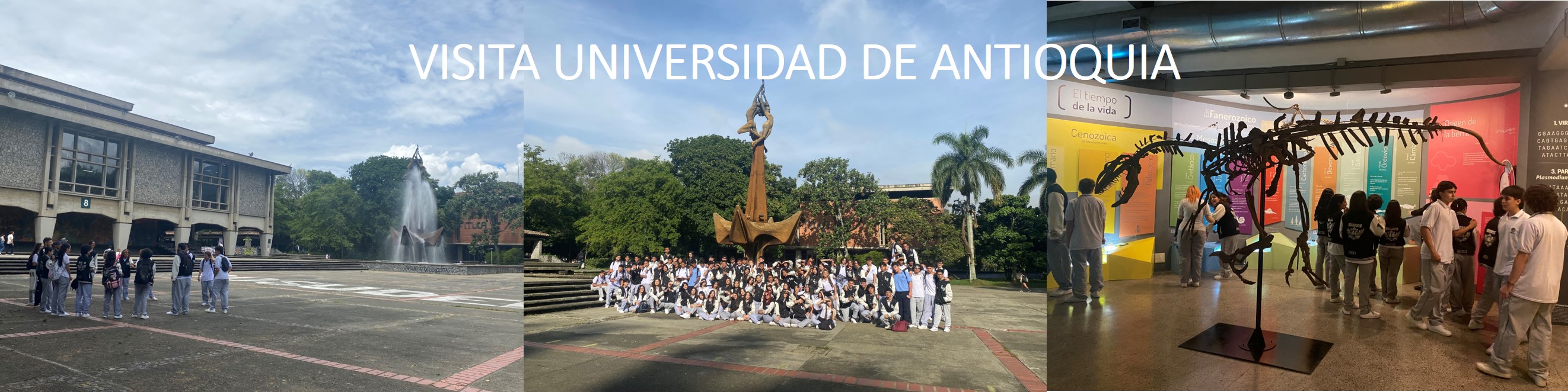 UDEA