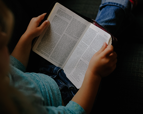 COLEGIO DEMOSTRACIONES 