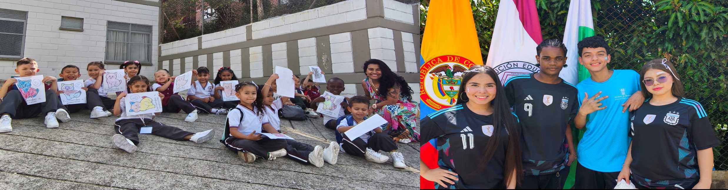 Imagen7