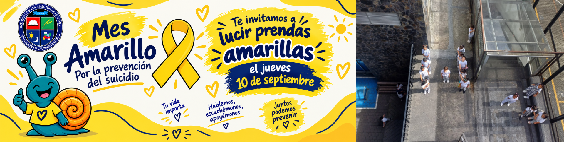 BANNERAMARILLO11