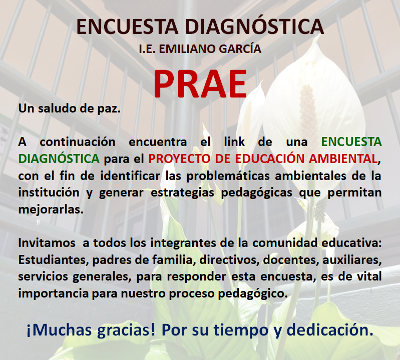 Encuesta diagnóstica