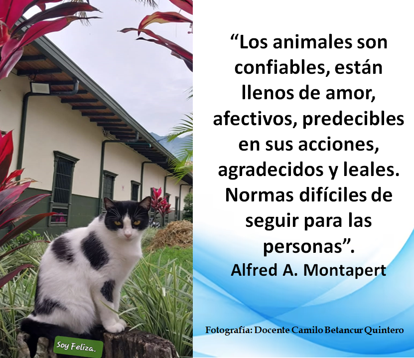 Mensaje