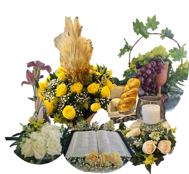 Eucaristía 28 de noviembre