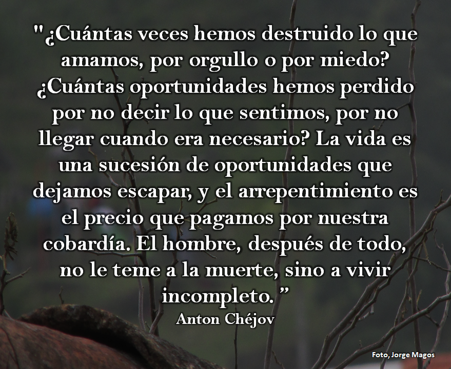 Sábado 13 de diciembre