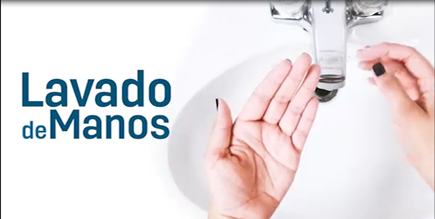 Cómo lavarse correctamente las manos