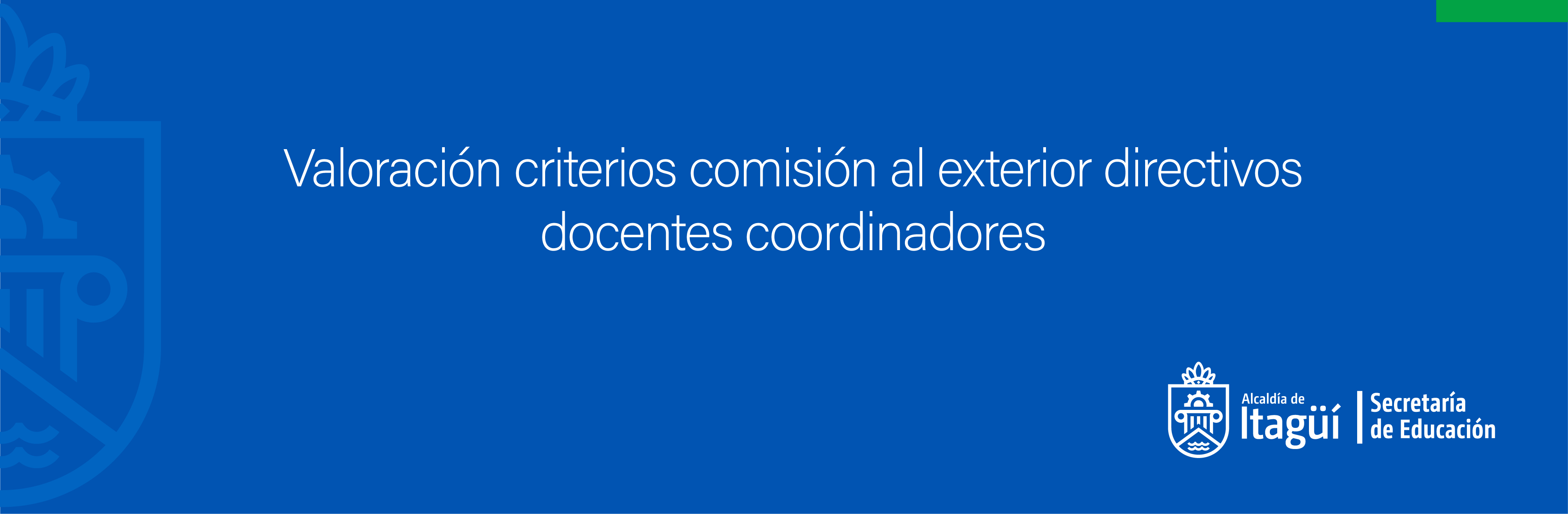 Valoración criterios comisión al exterior directivos docentes coordinadores.