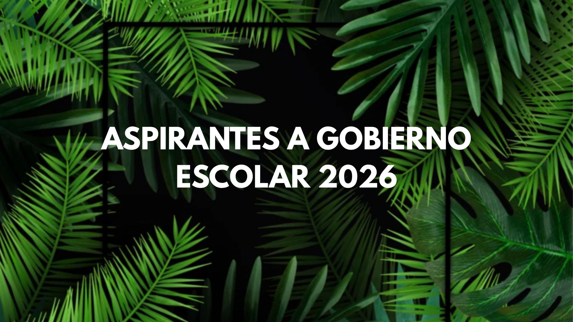 ASPIRANTES GOBIERNO ESCOLAR 2026