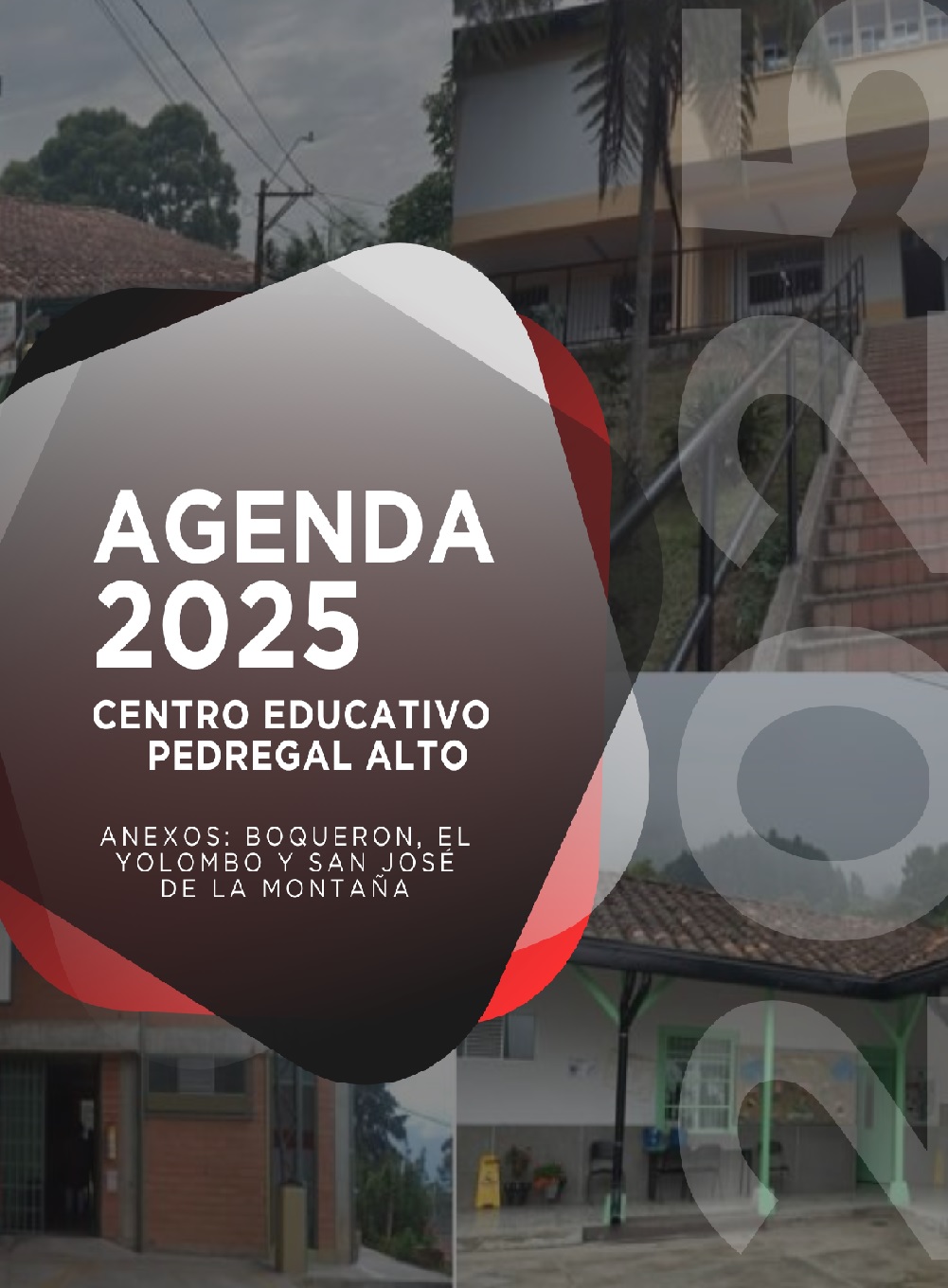 Cronograma de actividades