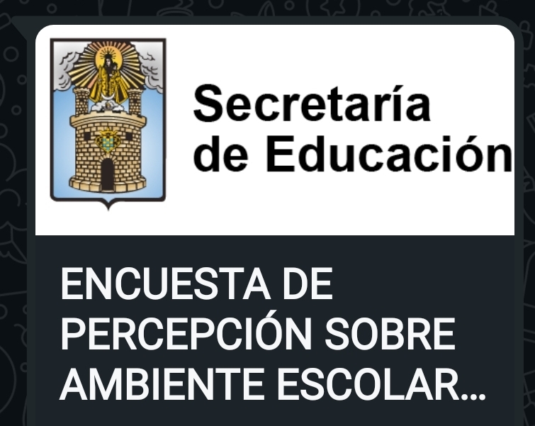 Encuesta percepción Escolar
