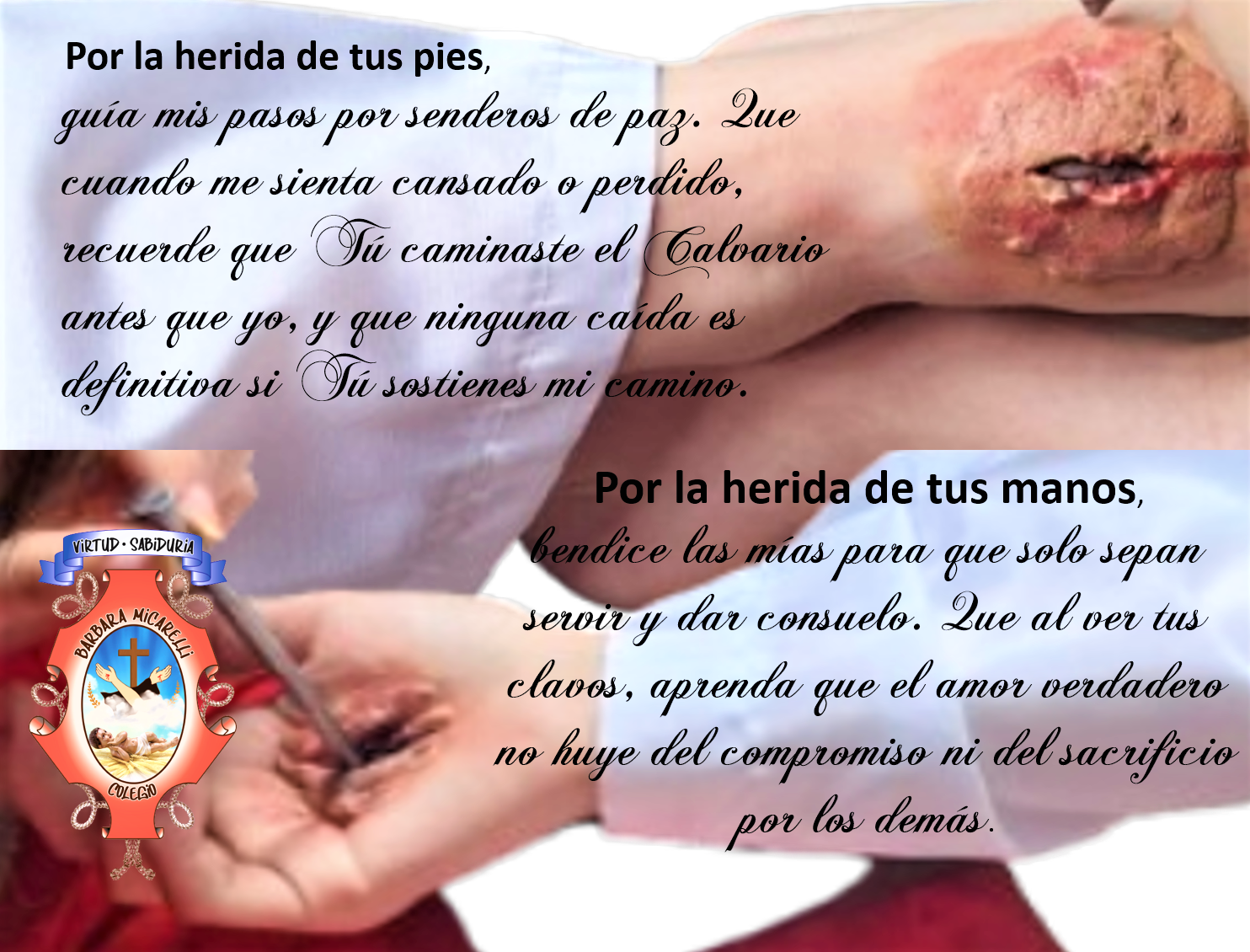 Imagen Noticia