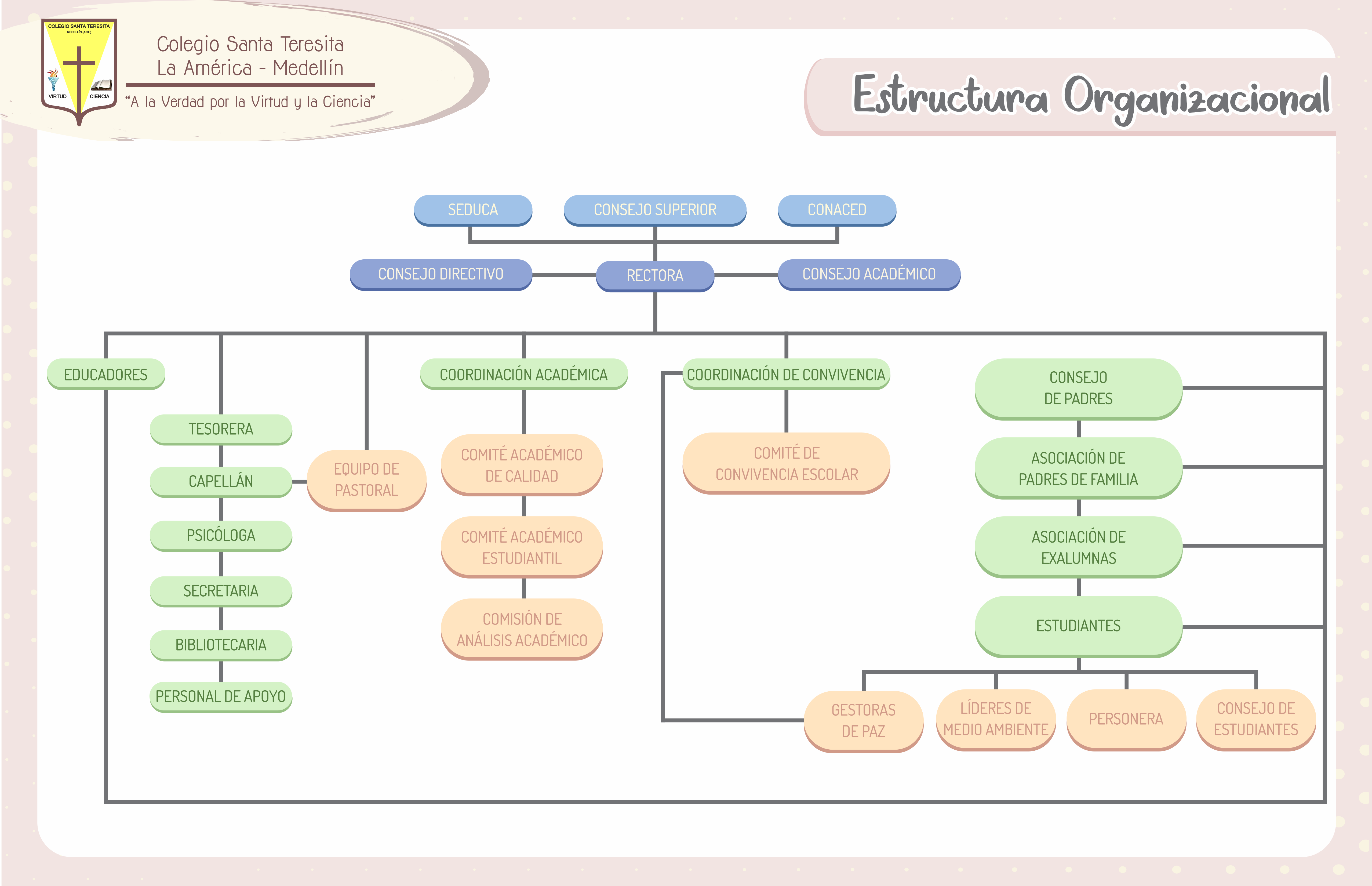 Estructura Organizacional
