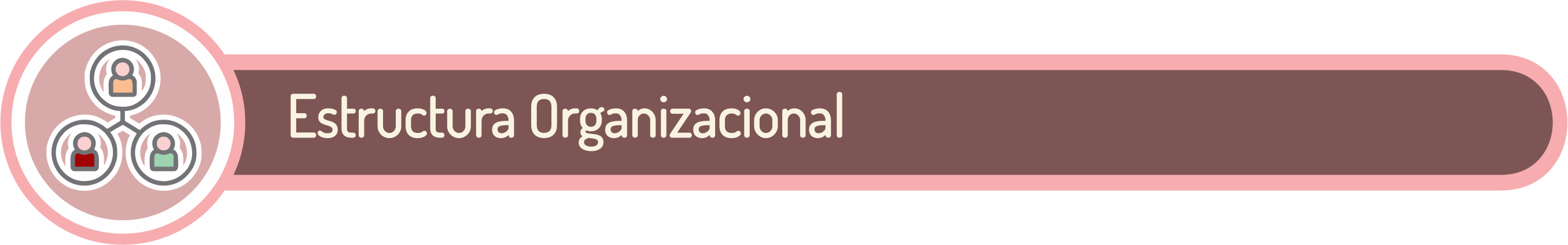 Estructura Organizacional